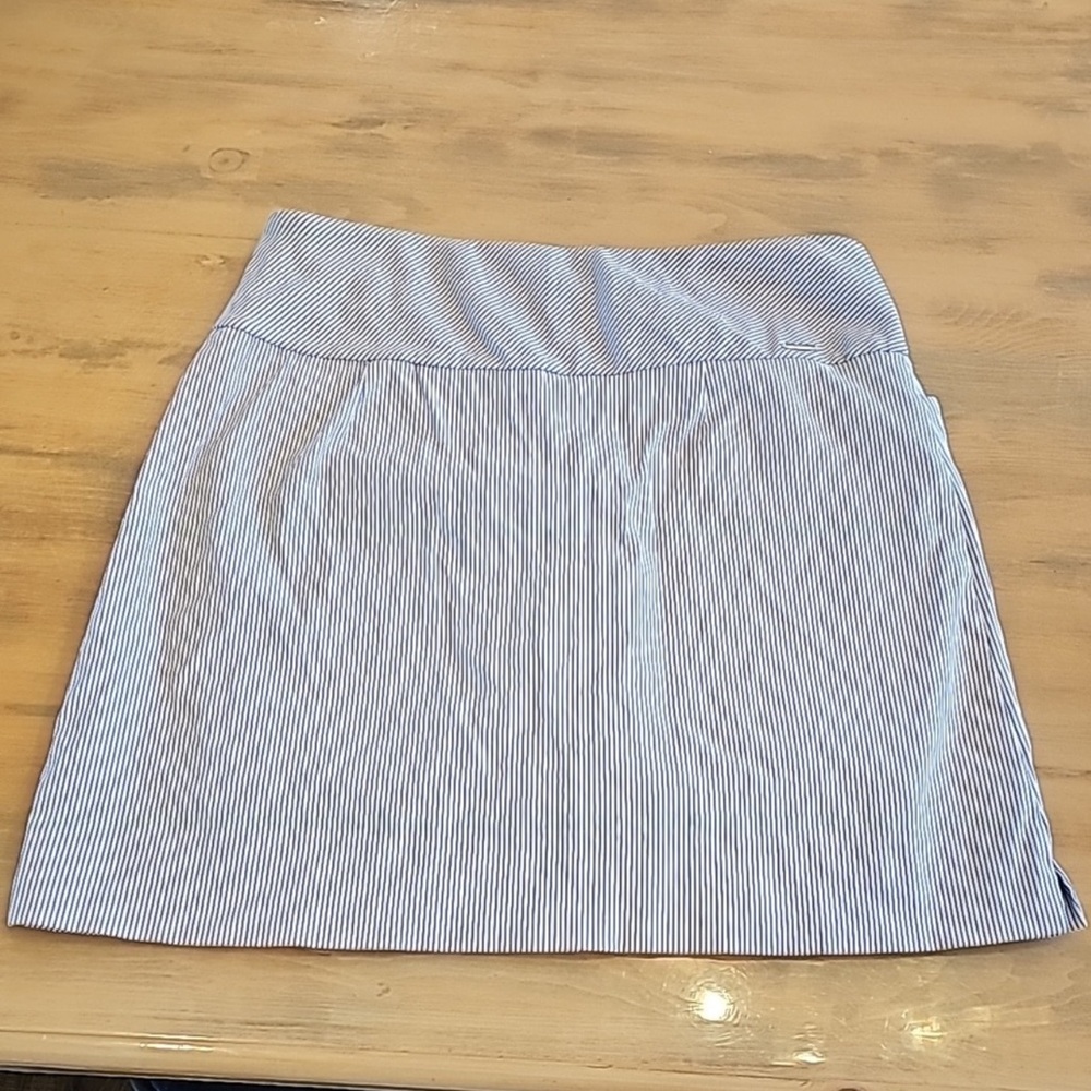 Striped Blue Women's Skirt
